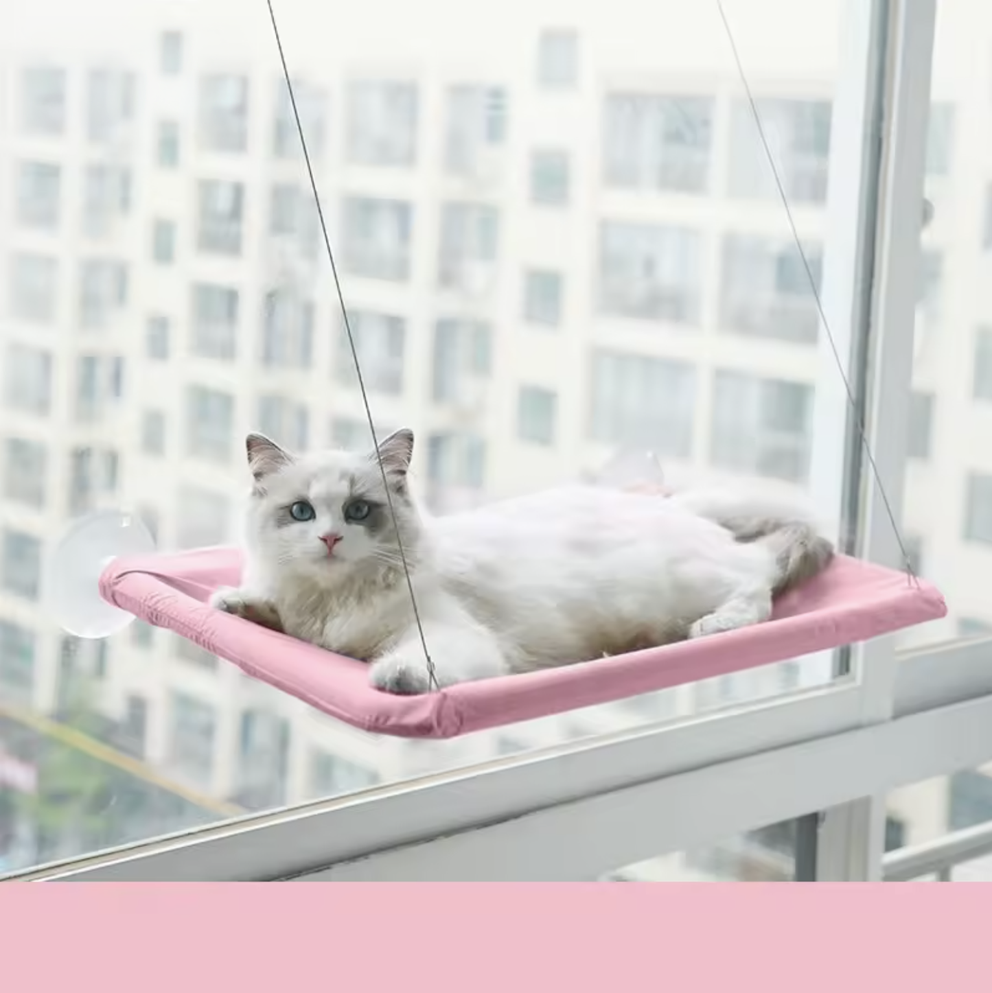 Raamhangmat voor Katten
