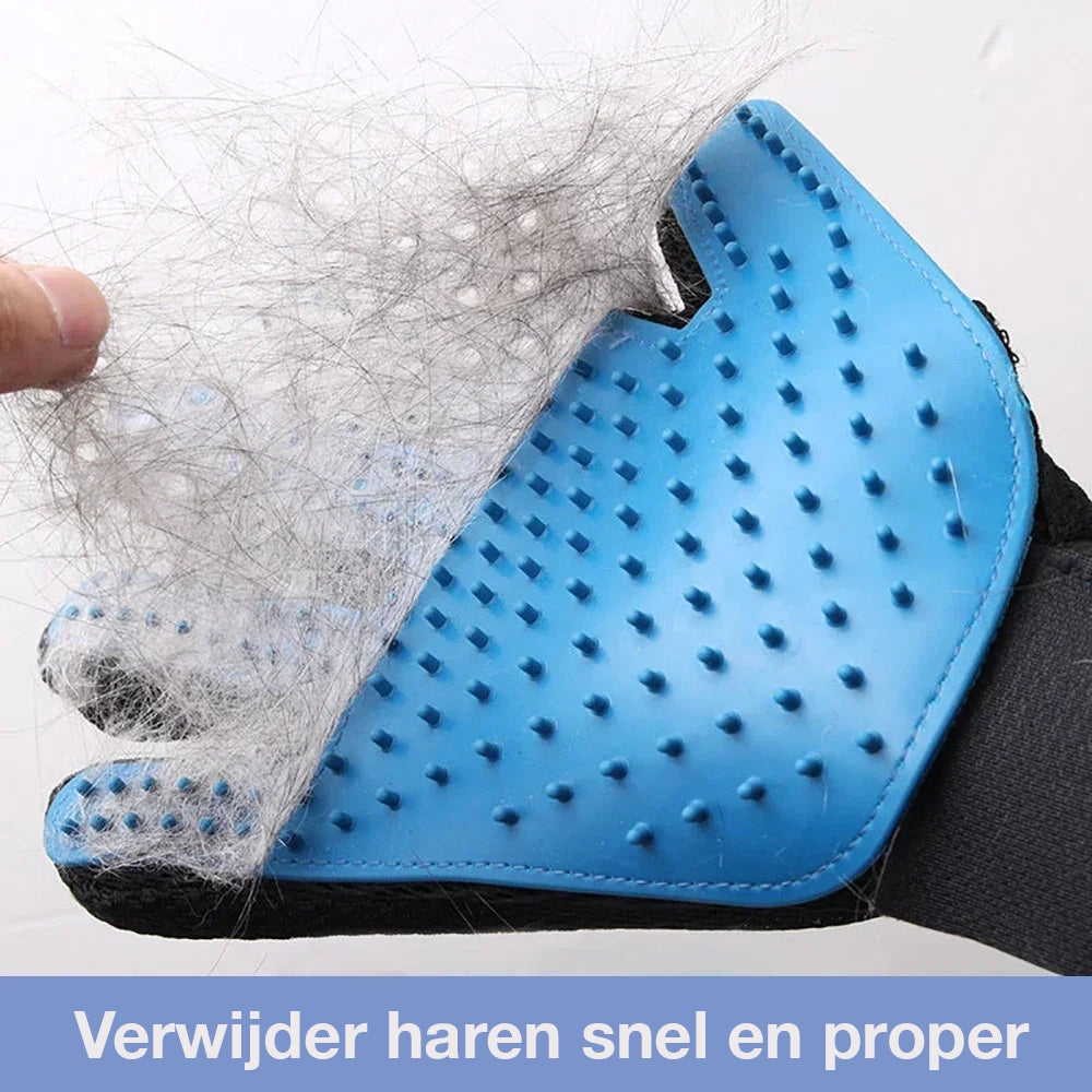 SoftClean Handschoen
