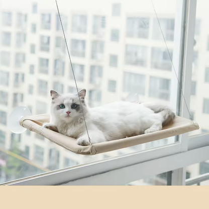 Raamhangmat voor Katten