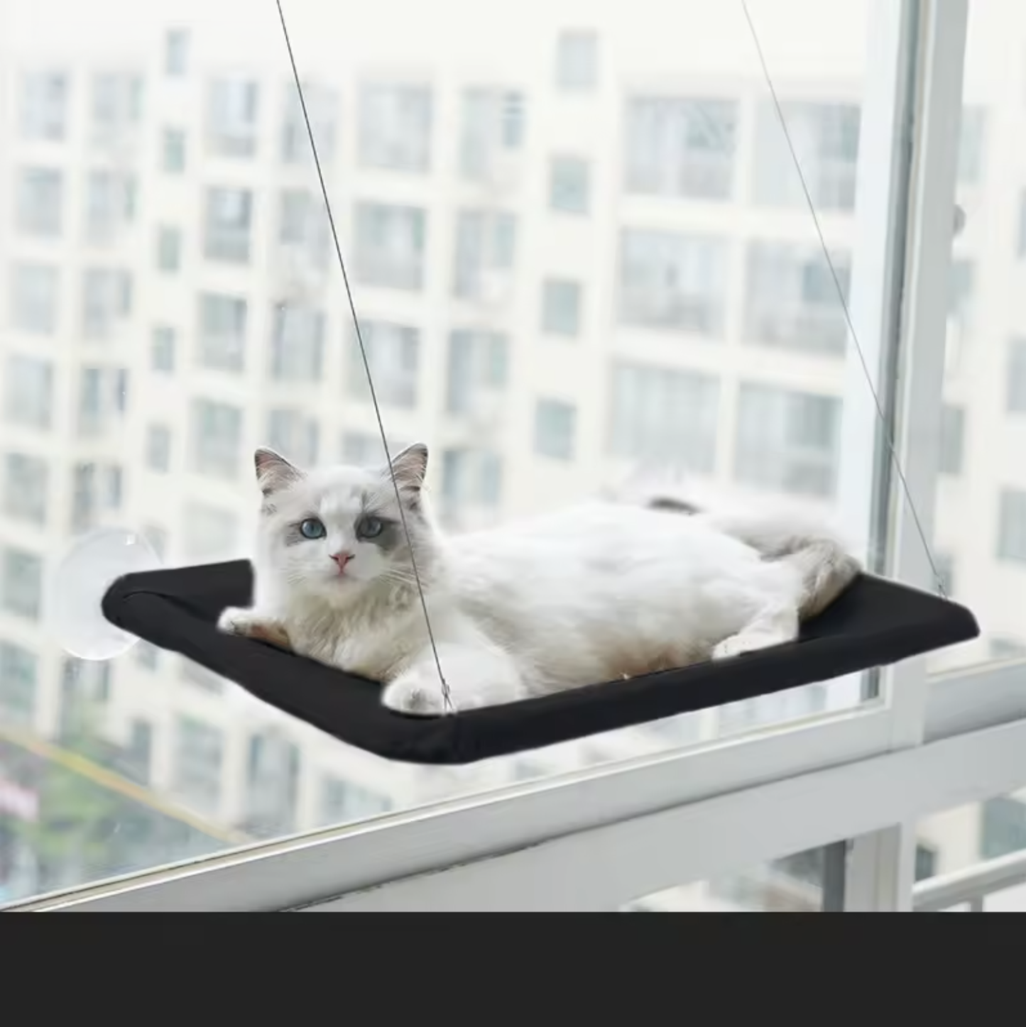 Raamhangmat voor Katten