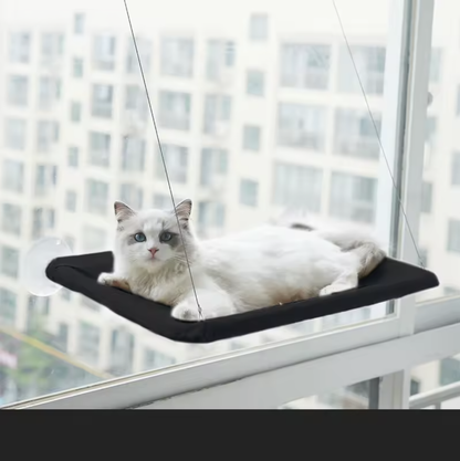 Raamhangmat voor Katten