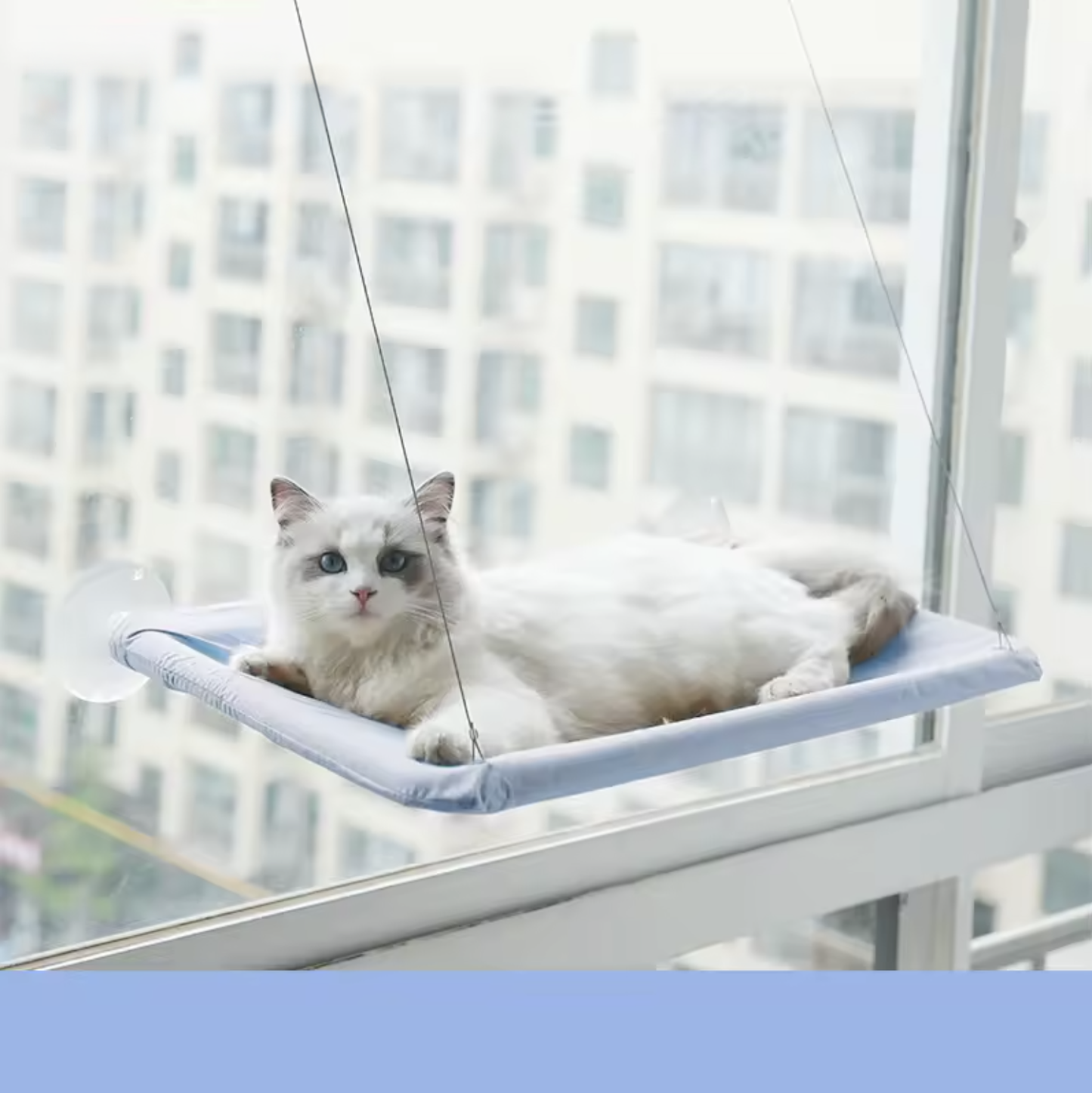 Raamhangmat voor Katten