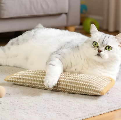 Trappelkussen Catnip