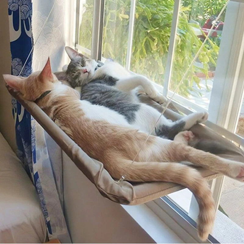 Raamhangmat voor Katten