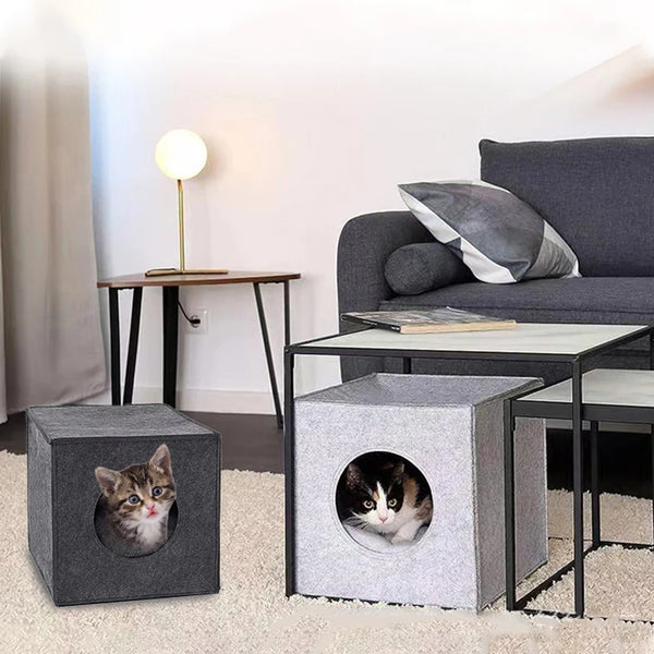 Kattenhuisje Kastvriendelijk