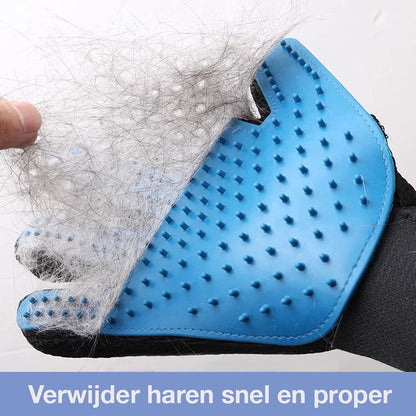 SoftClean Handschoen