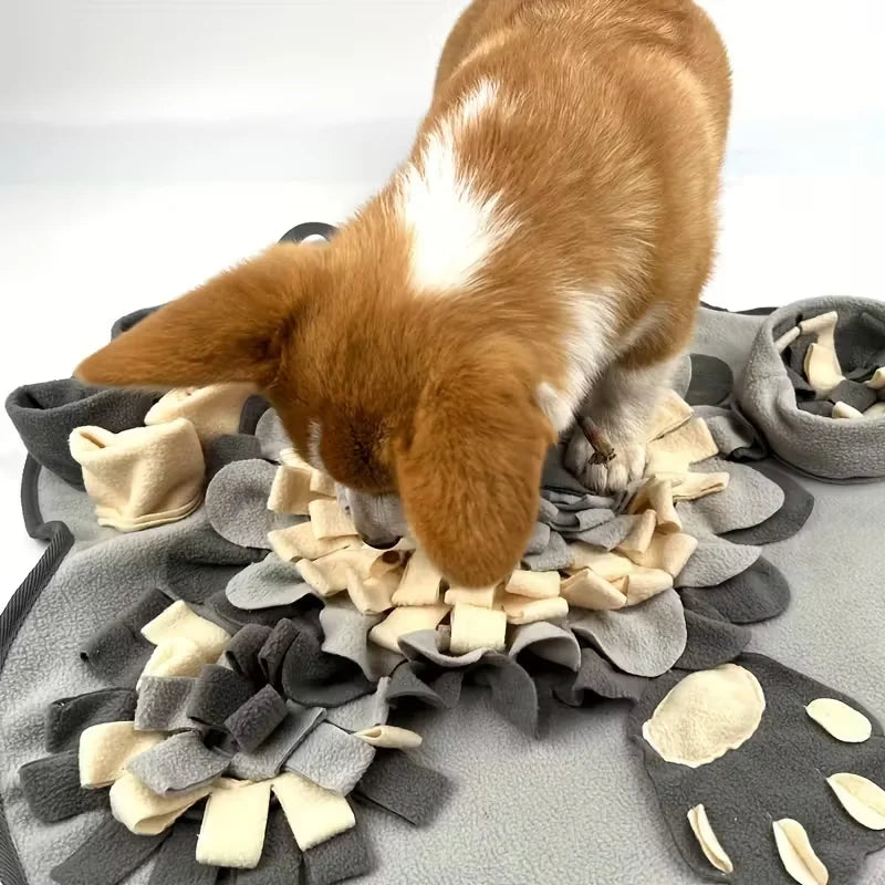 Snuffelmat voor Hond & Kat