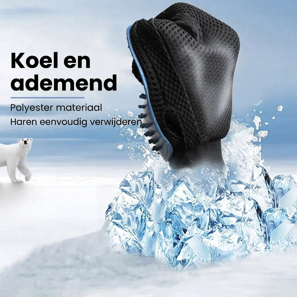 SoftClean Handschoen
