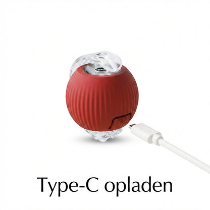 PlayBall Active Speelbal