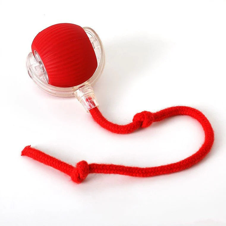 PlayBall Active Speelbal